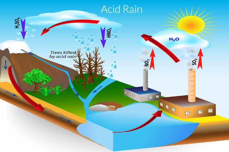 Science Class 7 Acids, Bases and Salts Acid rain