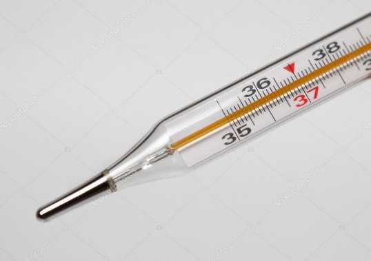 Science Class 7 Heat Clinical thermometer