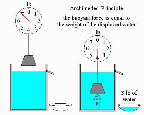 Science Class 9 Gravitation archimedes principle