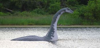 A Dinosaur With Swanlike Neck And Flippers image