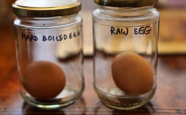 Create Bouncy Transparent Egg Science Experiment