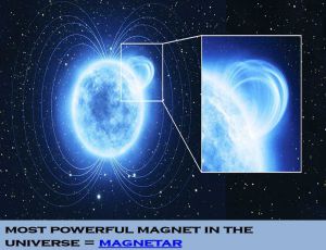 Class 6 Fun With Magnets - Fact