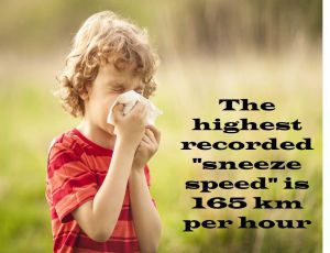Class 7 Respiration in Organisms - Facts