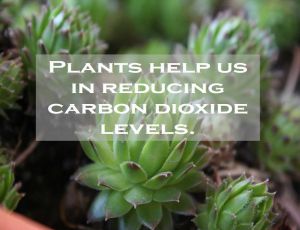 Class 9 Improvement In Food Resources - Fact