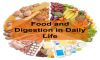 Food and Digestion image