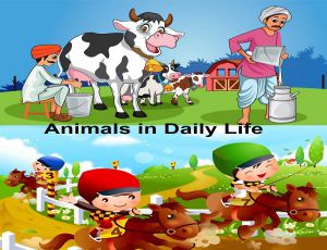 Example of Animals in daily life