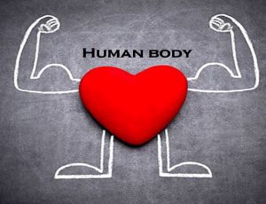 Example of Human body in daily life