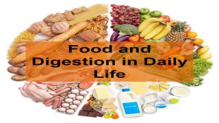Example of Food and Digestion in daily life