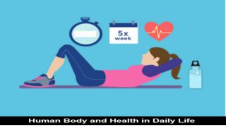 Example of Human body & health in daily life