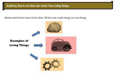 Living Non Living Things Lesson For Class 1