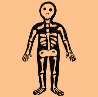 Science Class 2 Human Body Bones