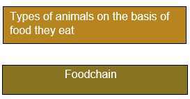 Science Class 3 Plants and Animals  