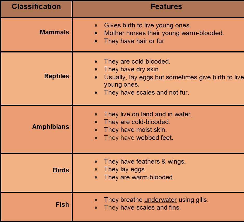 Science Class 4 Animals  