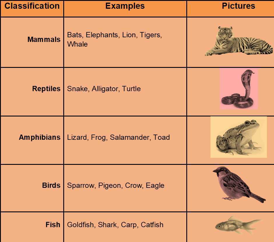 Animals - Lesson for Class 4
