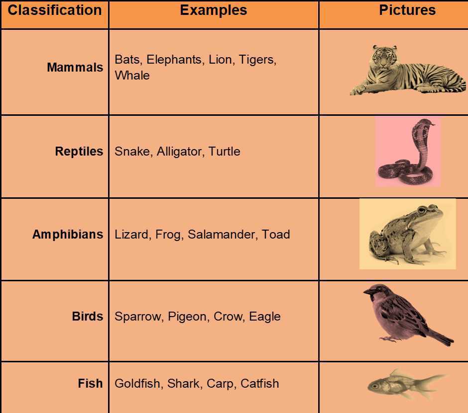 Classes Of Animals