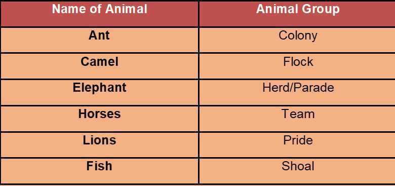 Science Class 4 Animals  