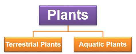 examples of terrestrial plants names