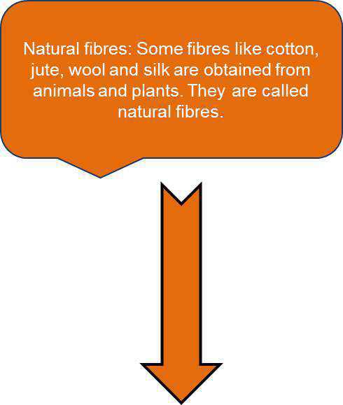 Science Class 6 Fibre to Fabric   Classification of fibers
