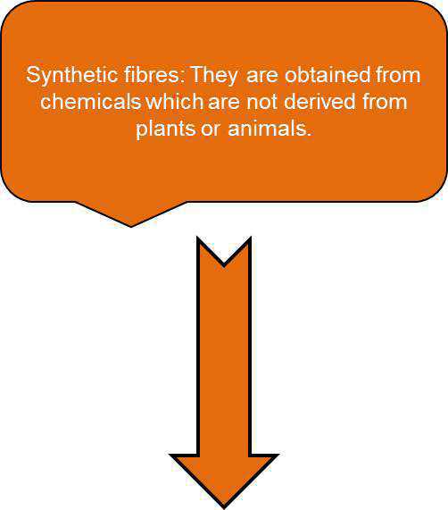 Science Class 6 Fibre to Fabric   synthetic fibers