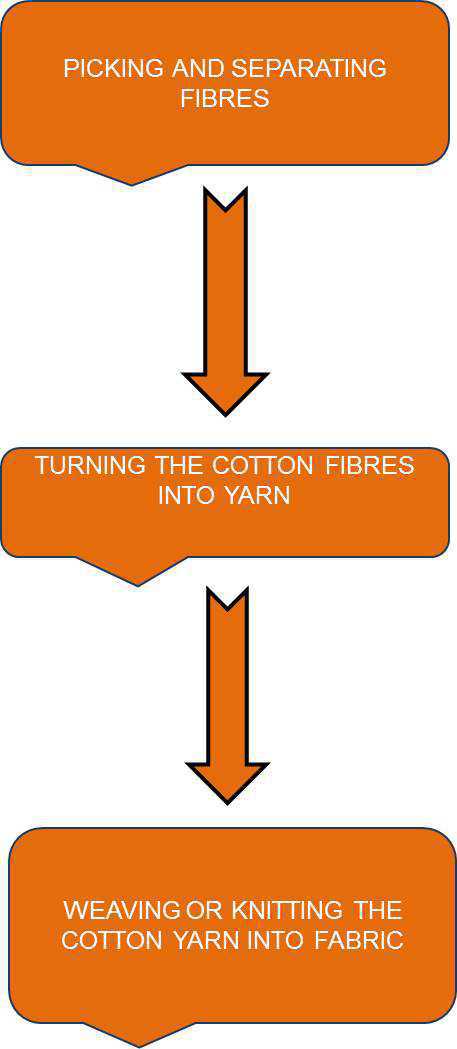 Science Class 6 Fibre to Fabric   process of truning cotton fiber in fabric