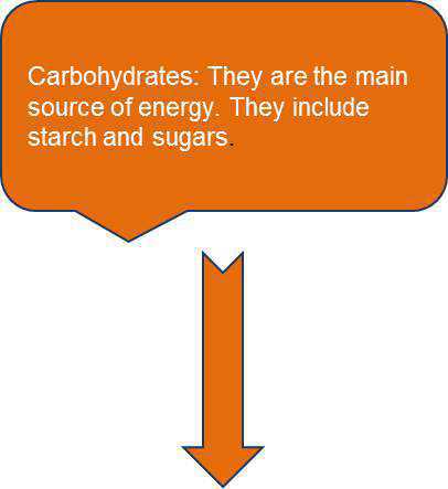 Science Class 6 Food and Its Components Classification of Nutrients