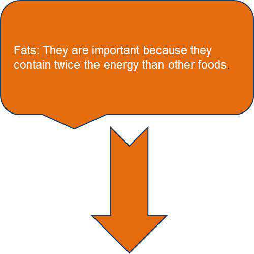 Science Class 6 Food and Its Components Fats