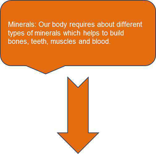 Science Class 6 Food and Its Components minerals