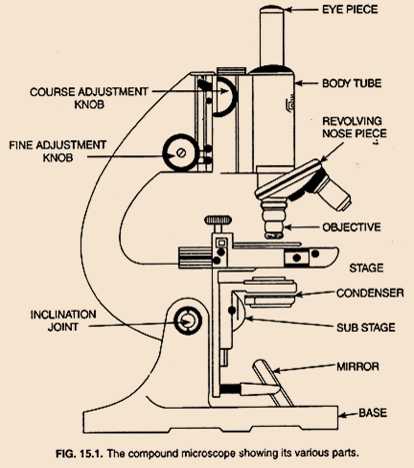 Science Class 9 Cell - The Fundamental Unit of Life Compound Microscope