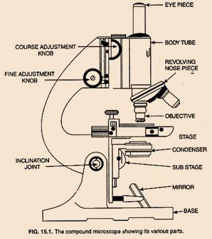 Science Class 9 Tissues Compound Microscope
