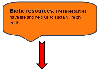 class 4 naturalresources