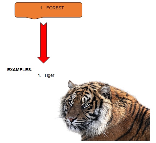 Class 6 - Living Organisms and their Surroundings | Science Square