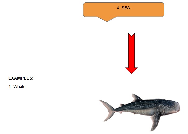 Class 6 - Living Organisms and their Surroundings | Science Square