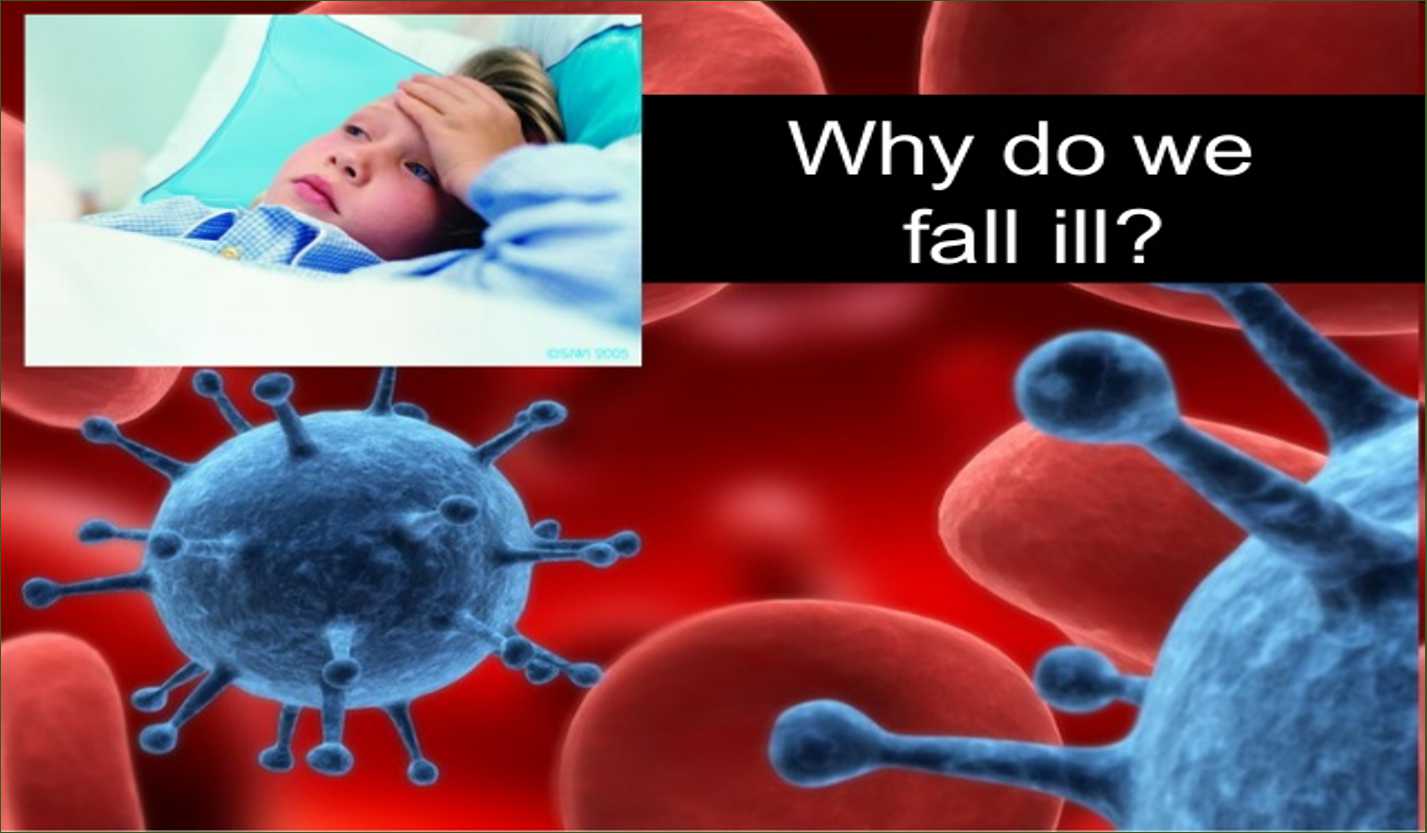 Why Do We Fall Ill?