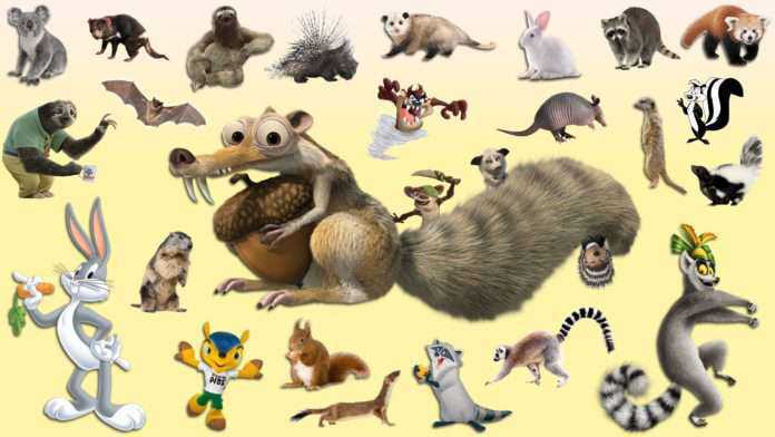 Animals for Class 5