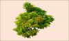 Plants image