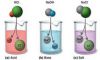 Acids, Bases and Salts image