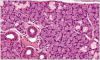Tissues image