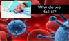 Why Do We Fall Ill? image