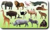 Animals image