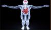 Human Body image