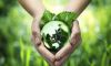 Our Environment image