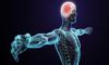 Human Body and Health image