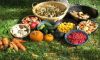 Plants and Food image