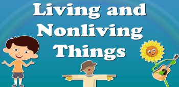 Living & Non-Living Things